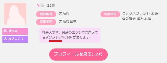 ソフトSM