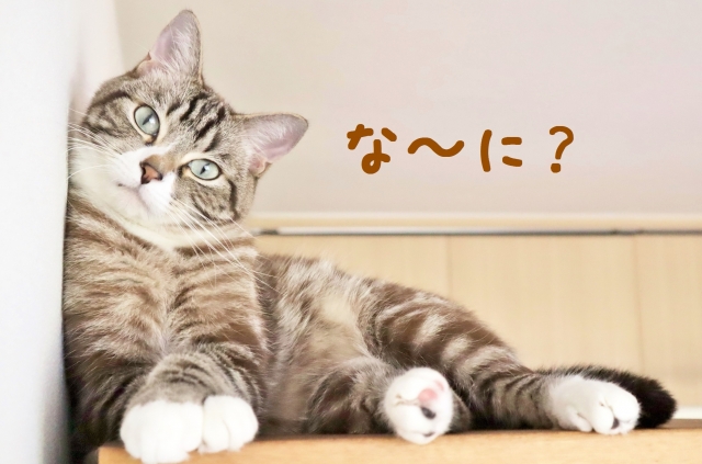 出合い系アプリをすすめる理由