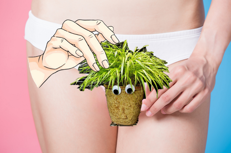 陰毛（マン毛）愛撫の仕方