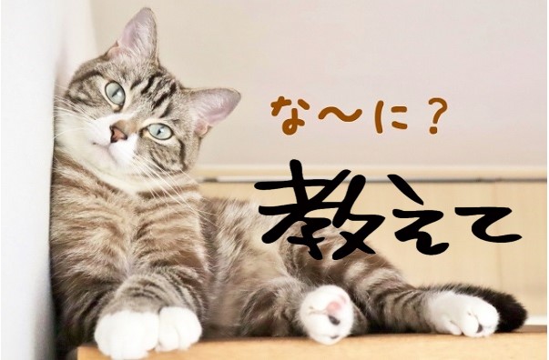 出会い系アプリをすすめる理由