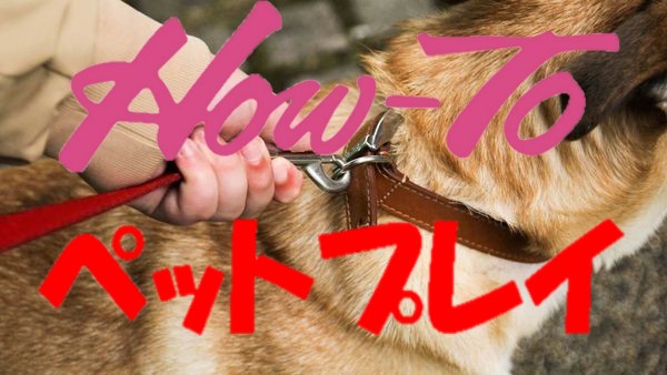 ペットプレイやり方