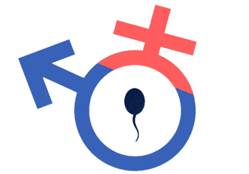 中出しセックスとは？